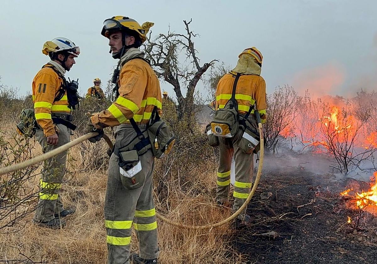 Efectivos de la brigada de bomberos forestales de la Región prestando ayuda en la lucha contra el fuego en Extremadura.
