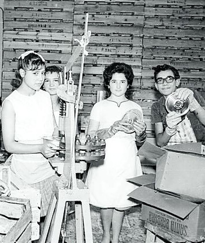 Imagen secundaria 2 - Arriba: Mujeres envasando albaricoques (c. 1960). Abajo: Trabajadores de una fábrica conservera en la máquina cerradora de latas (c. 1960) y trabajando con latas de envase (c. 1960). 
