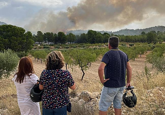 Columna de humo visible desde Cieza.