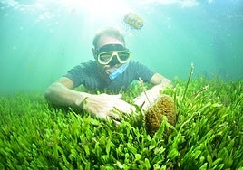 Una de las nacras encontradas.