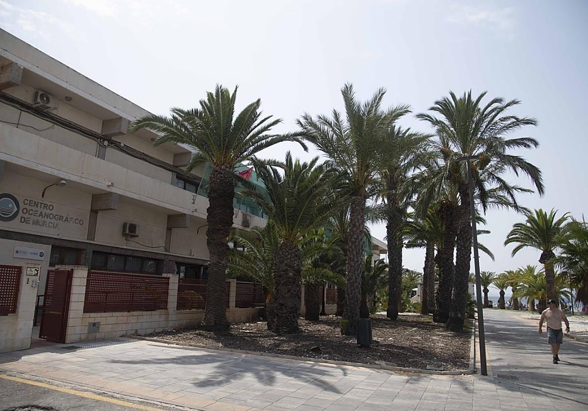 Un hombre pasa frente a la sede del IEO en Lo Pagán, esta semana.