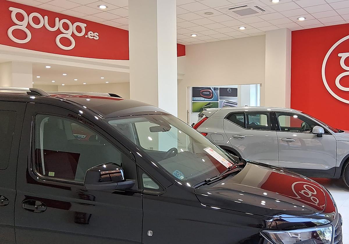 GOUGO transforma la forma de comprar coche: financiación digital