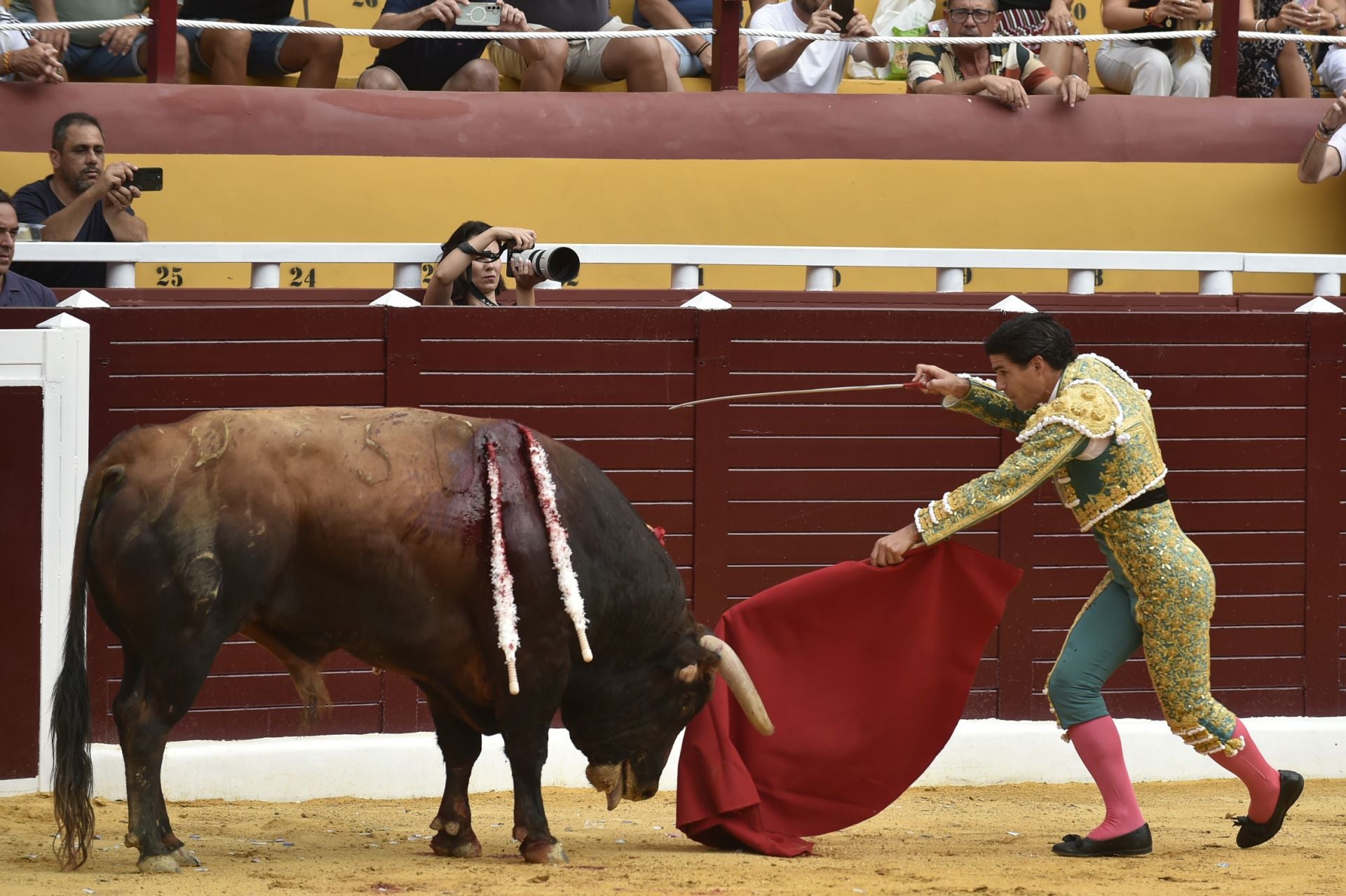 La corrida de toros en Cieza de Manzanares, Aguado y Pérez, en imágenes