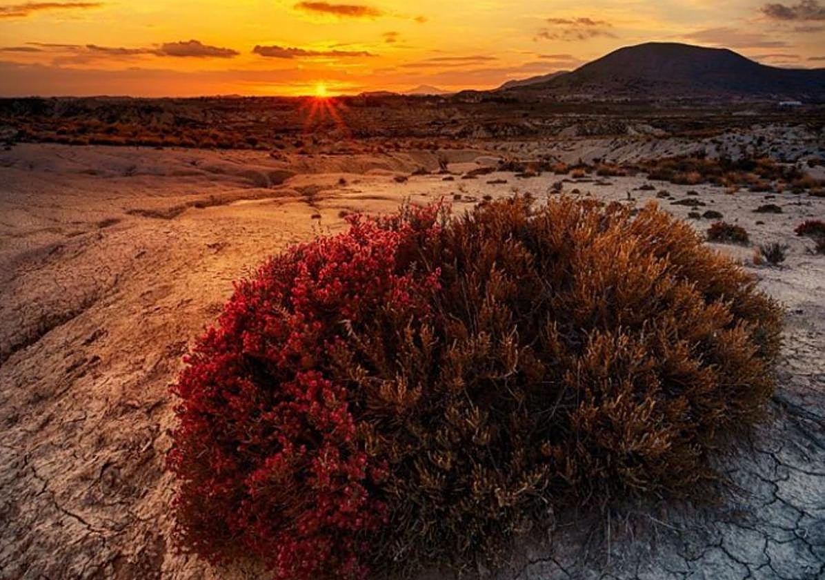 Una de las fotografías ganadoras en el concurso celebrado en 2024, realizada en el desierto de Mahoya (Abanilla).