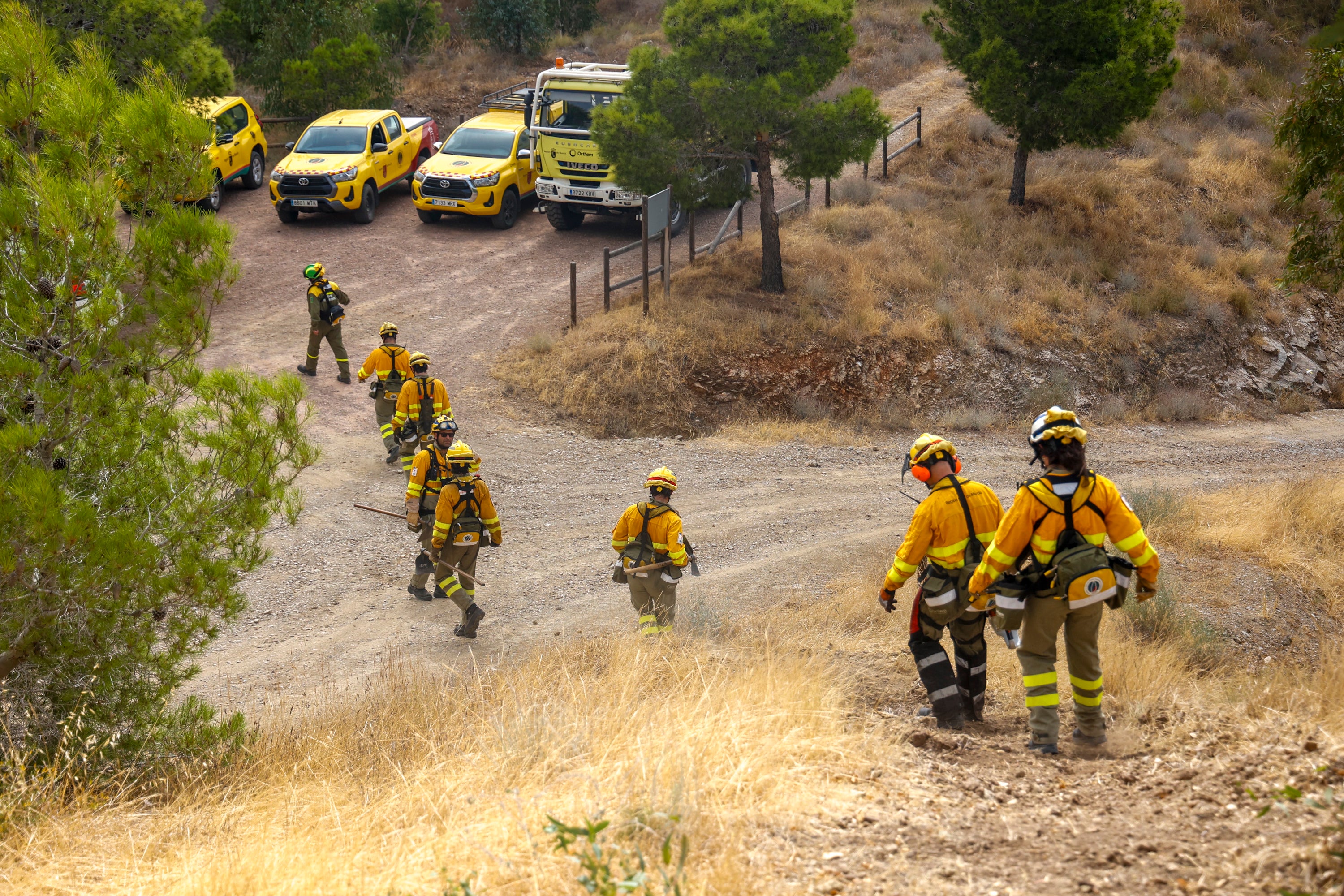 Las imágenes del simulacro de los bomberos forestales de la brigada terrestre de Mazarrón