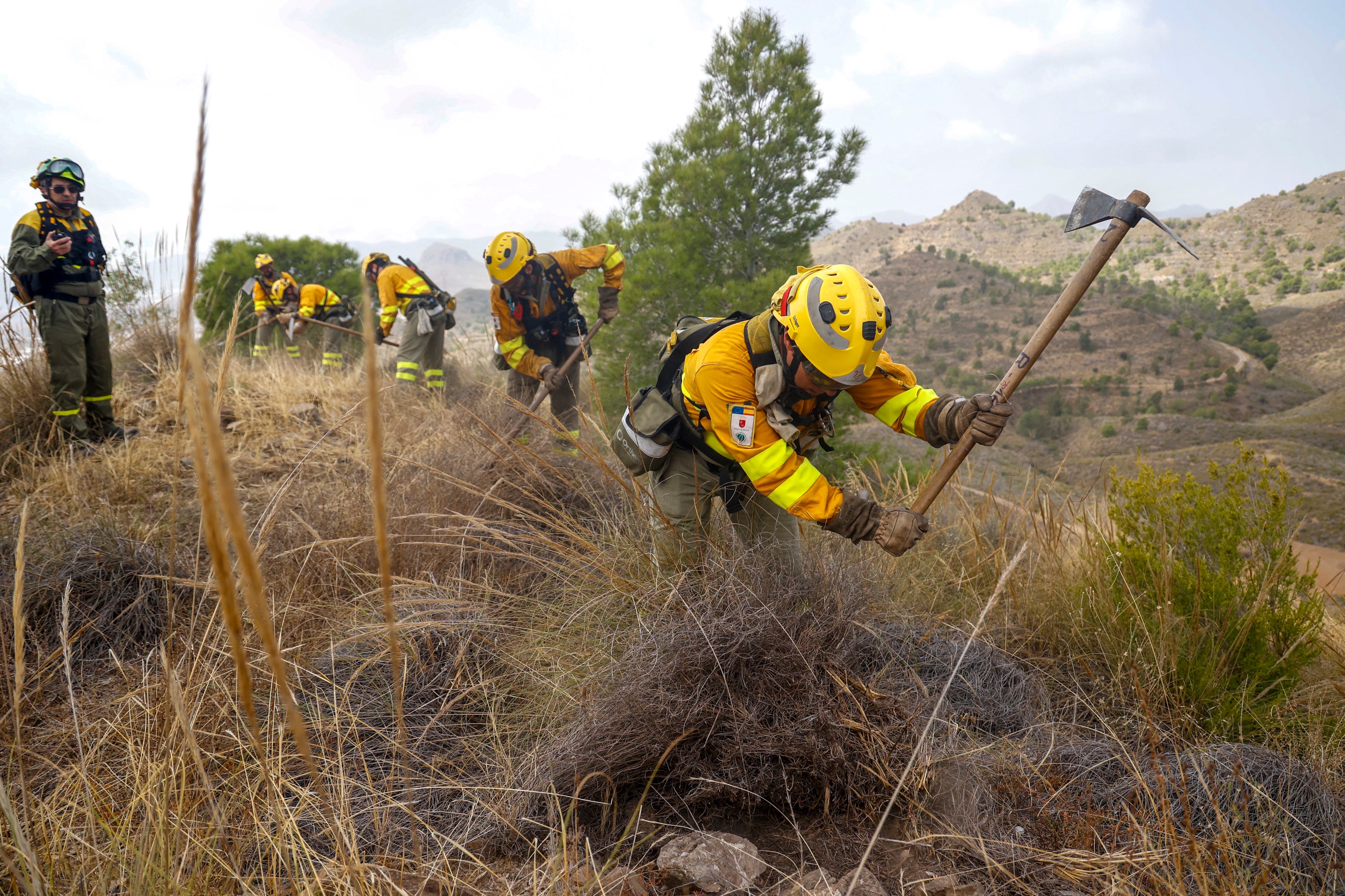 Las imágenes del simulacro de los bomberos forestales de la brigada terrestre de Mazarrón