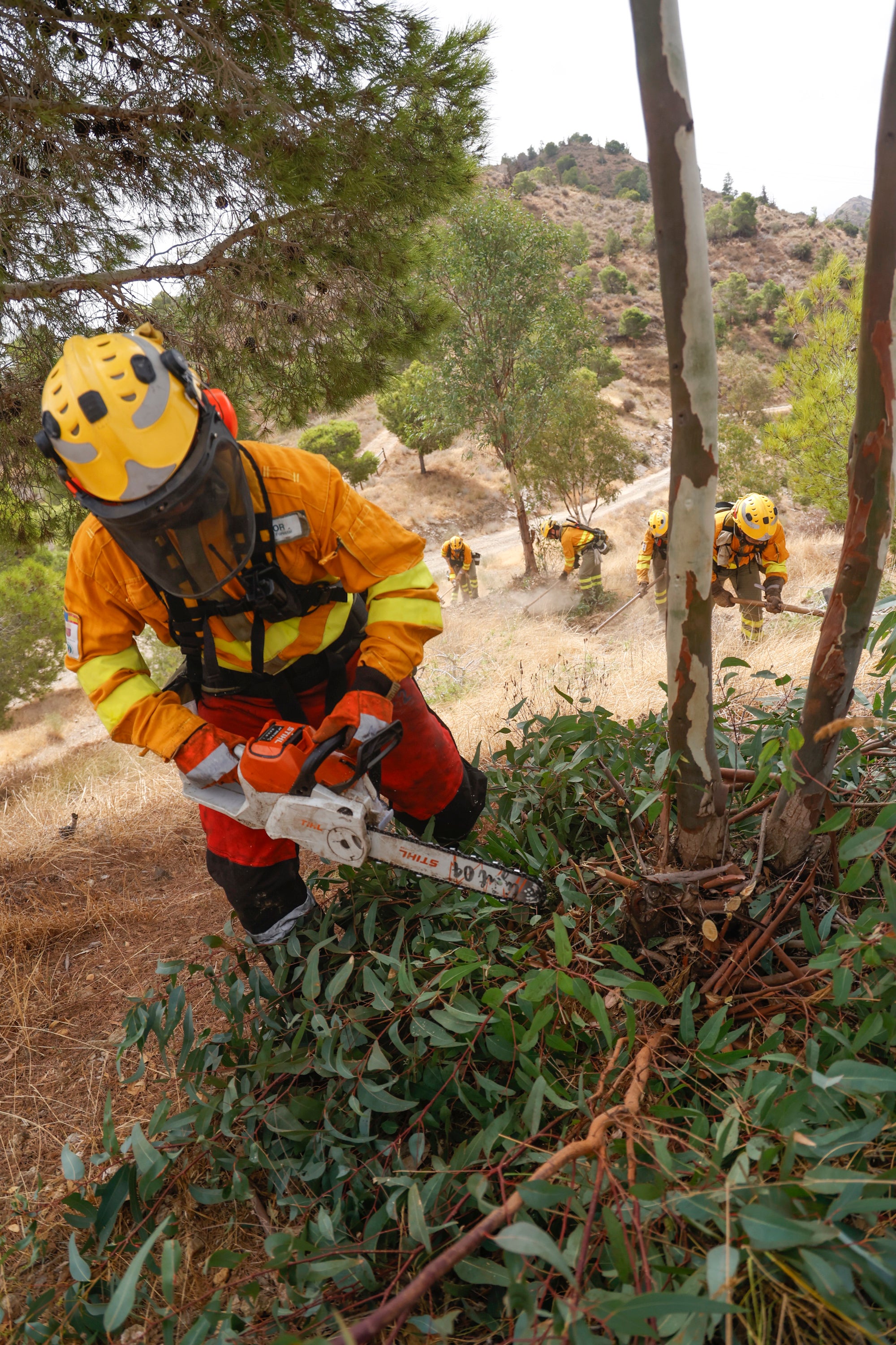 Las imágenes del simulacro de los bomberos forestales de la brigada terrestre de Mazarrón