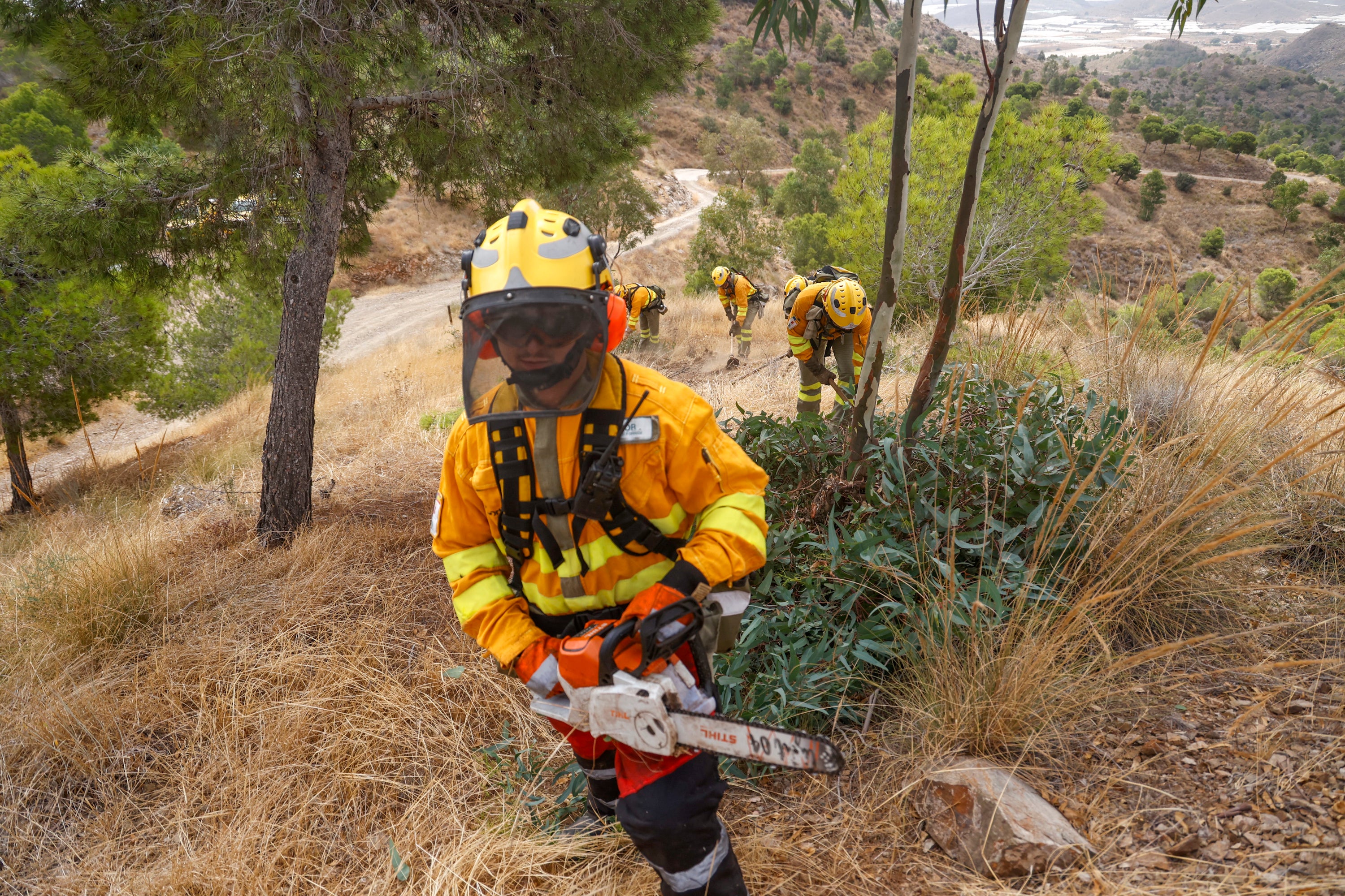 Las imágenes del simulacro de los bomberos forestales de la brigada terrestre de Mazarrón