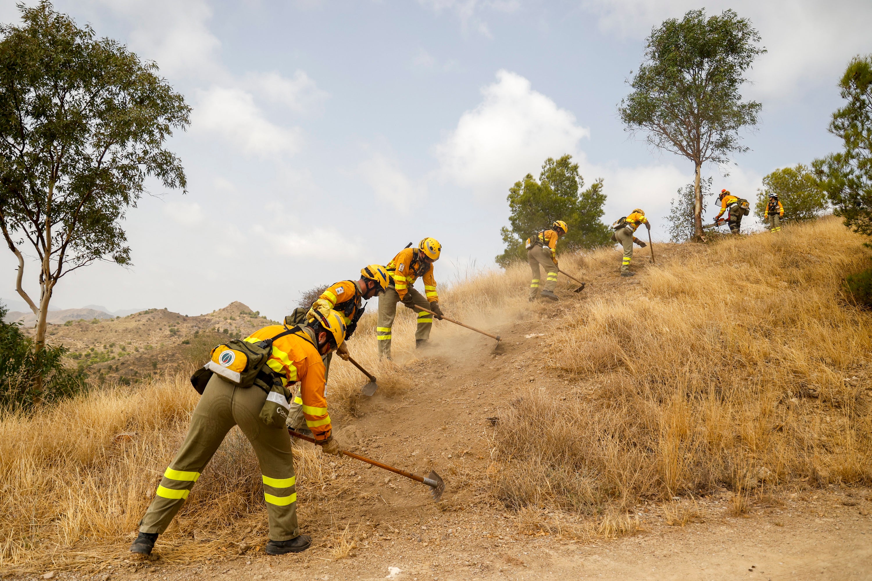 Las imágenes del simulacro de los bomberos forestales de la brigada terrestre de Mazarrón