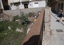 Matorrales y basura cubren la superficie de este solar, situado en la parcela que hace esquina entre las calles Andino y Escorial.