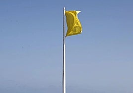 Bandera amarilla, en una imagen de archivo.