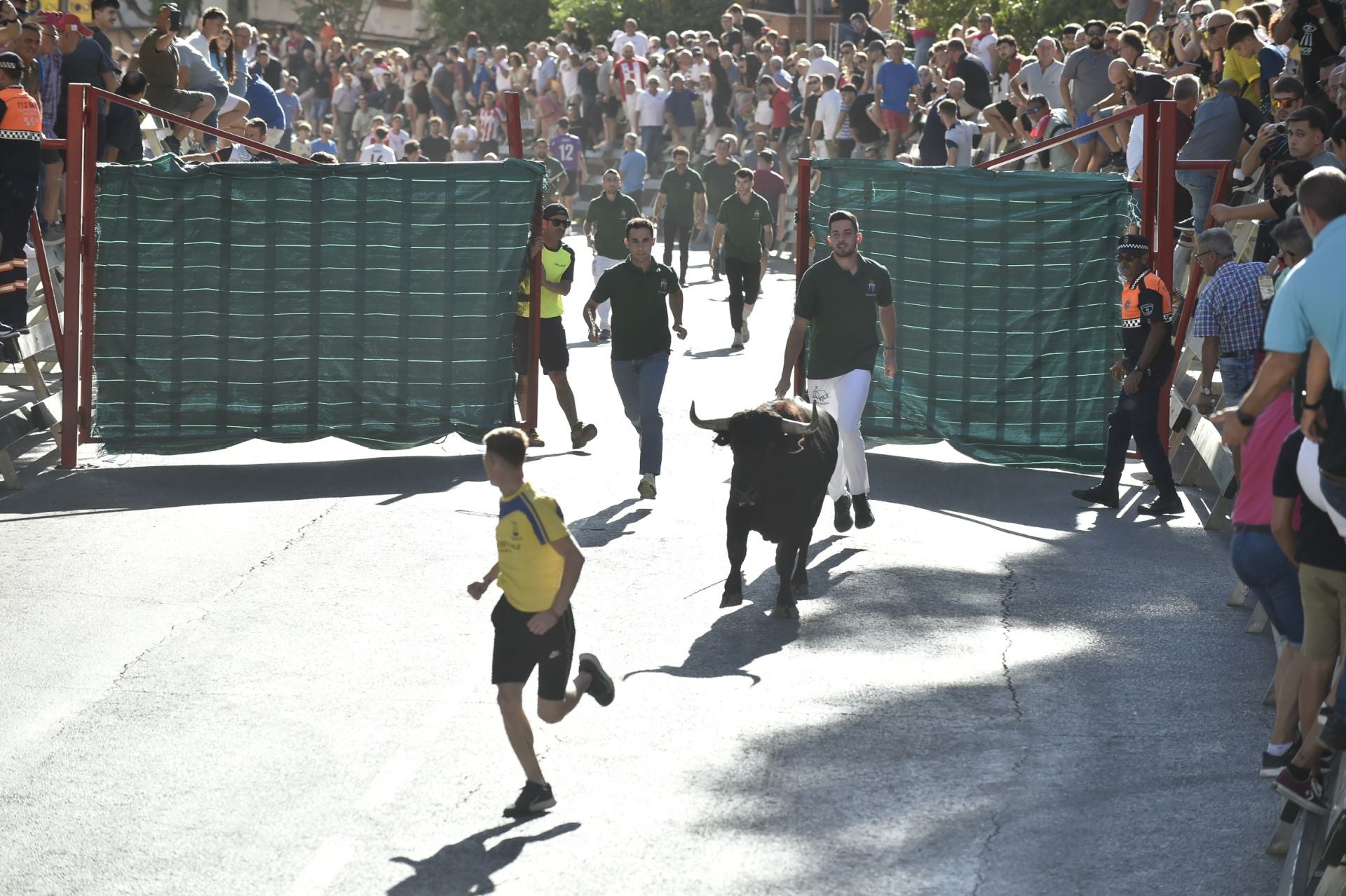 La ganadería El Pincha abre los encierros de Calasparra