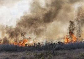 El incendio forestal del Carmolí, en imágenes