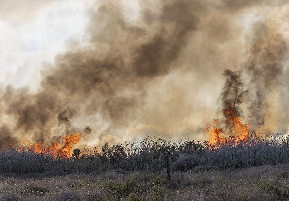 El incendio forestal del Carmolí, en imágenes