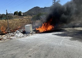 El incendio de los contenedores y de maleza.