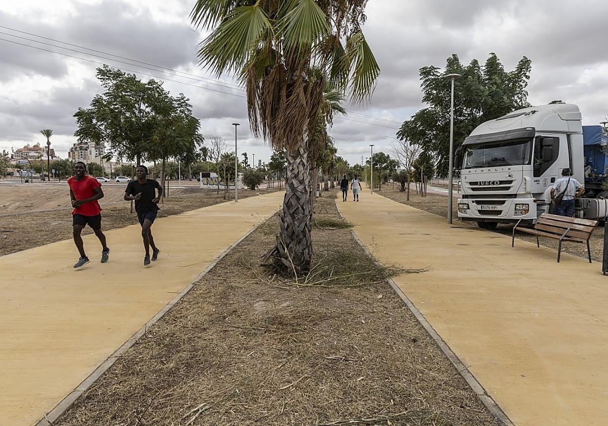 Imagen de ayer de la avenida del Cantón.