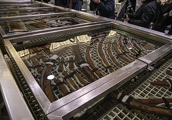Piezas del barco fenicio de Mazarrón, en los laboratorios de ArquaTec (Cartagena).