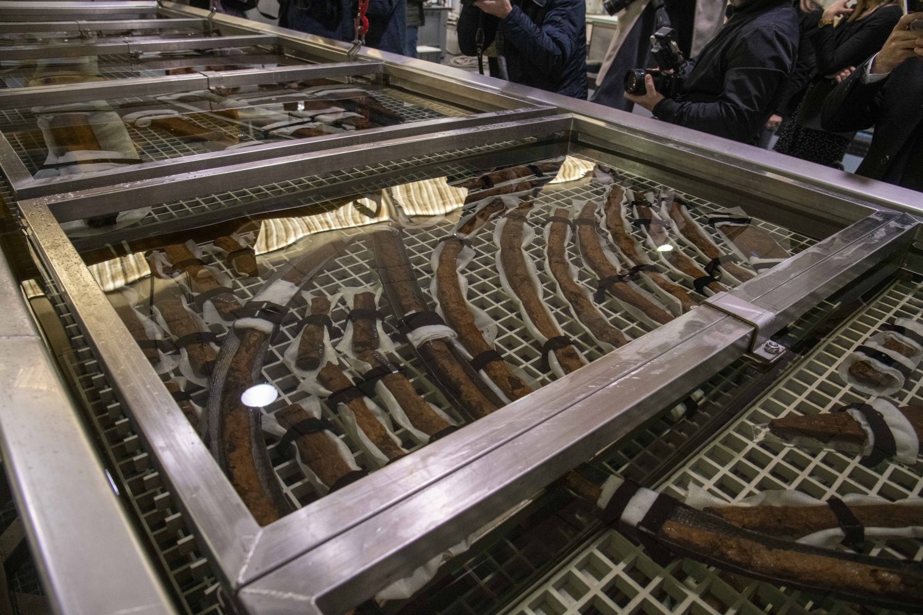 Piezas del barco fenicio de Mazarrón, en los laboratorios de ArquaTec (Cartagena).