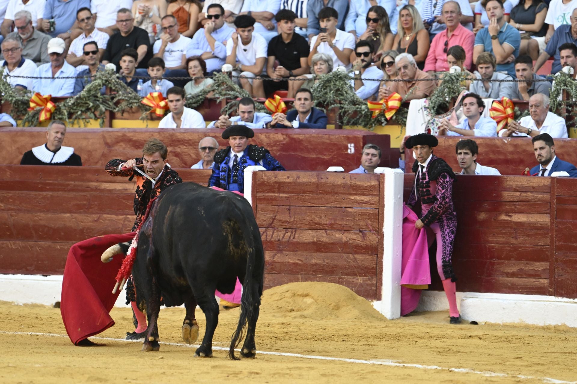 La primera novillada de la Feria Taurina de Murcia, en imágenes