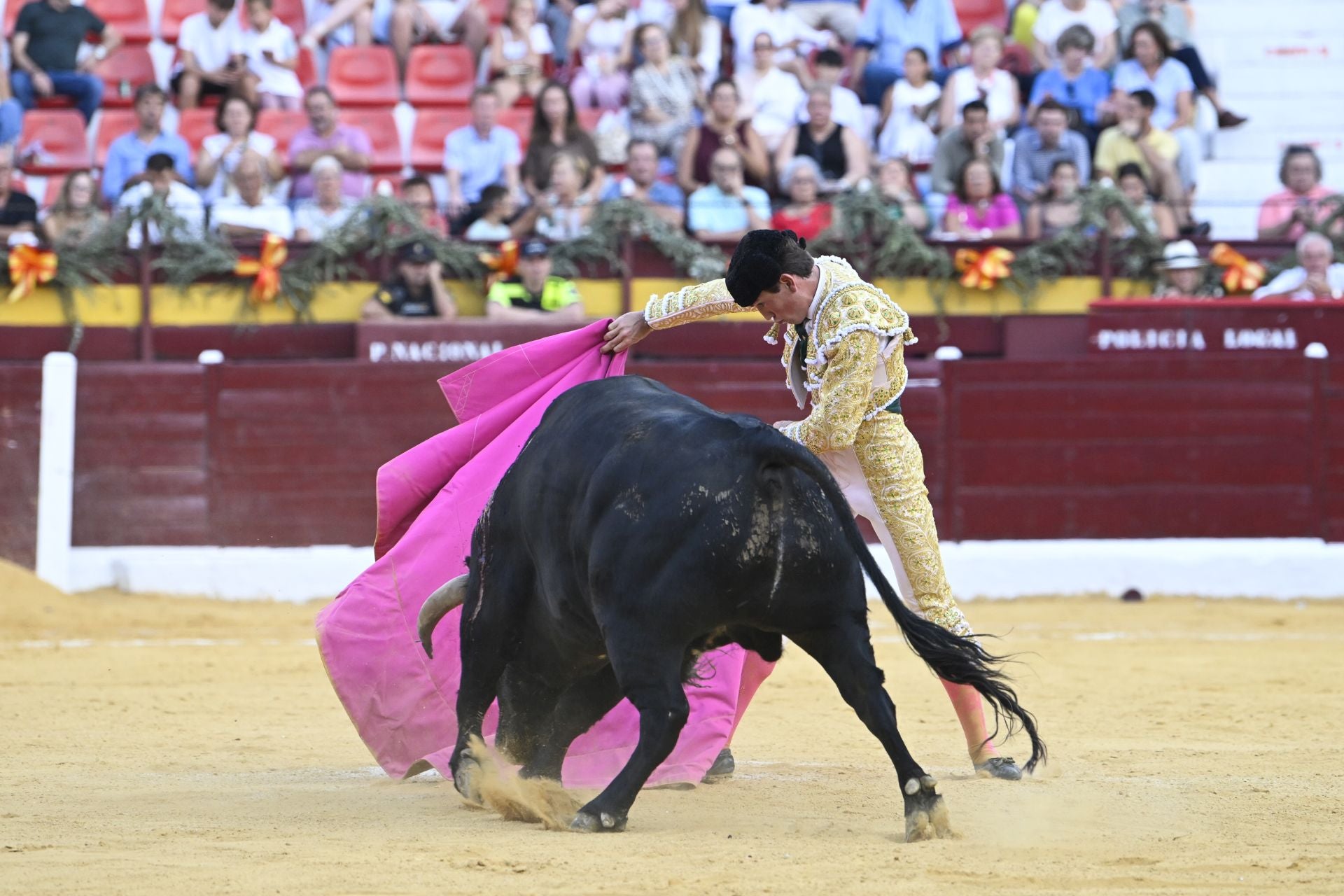 La primera novillada de la Feria Taurina de Murcia, en imágenes