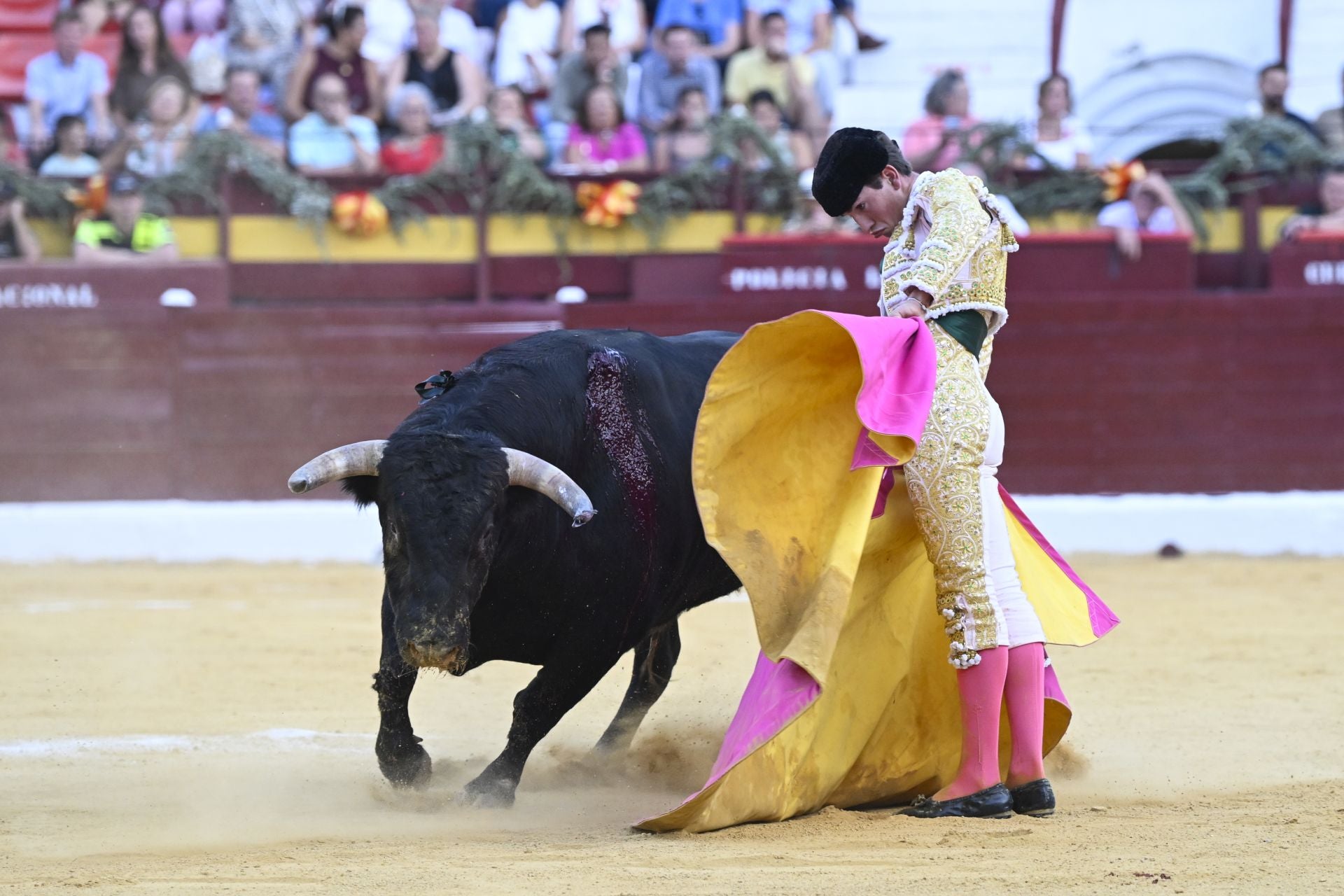 La primera novillada de la Feria Taurina de Murcia, en imágenes