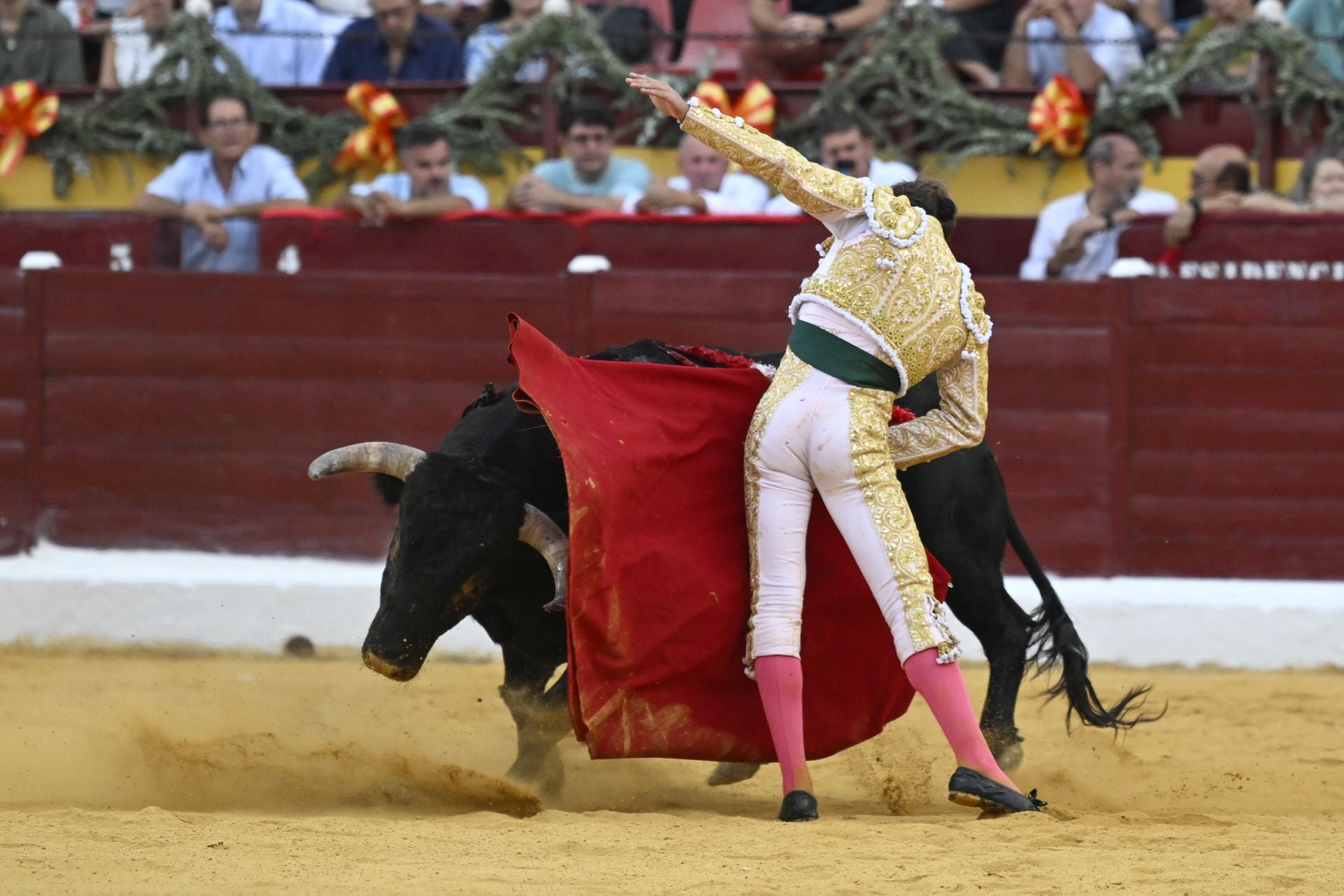 La primera novillada de la Feria Taurina de Murcia, en imágenes