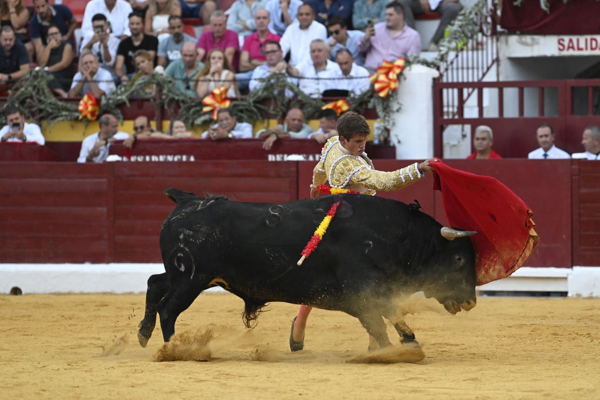 La primera novillada de la Feria Taurina de Murcia, en imágenes