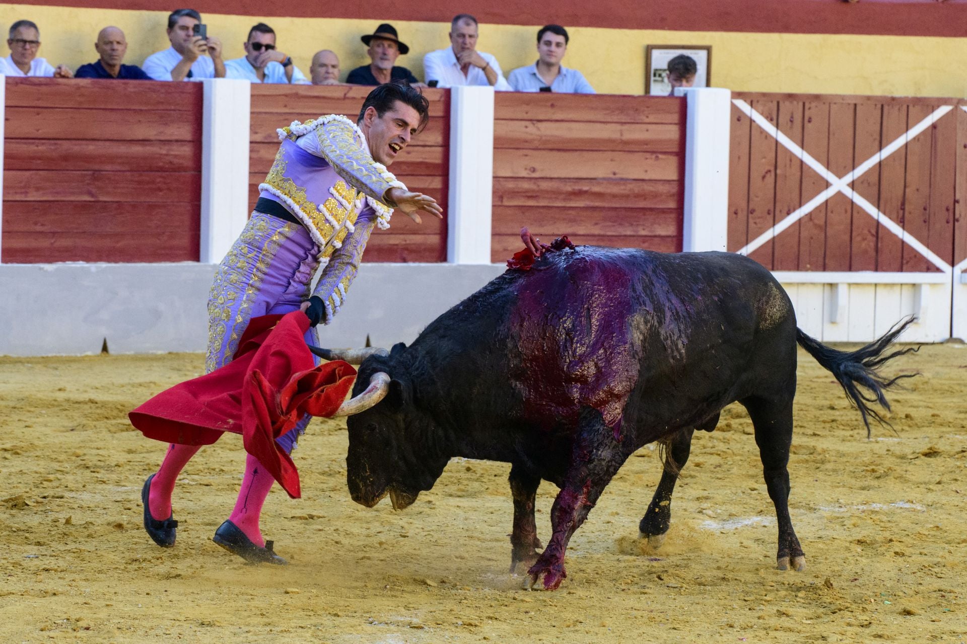 Las imágenes de la corrida de las Maravillas en Cehegín