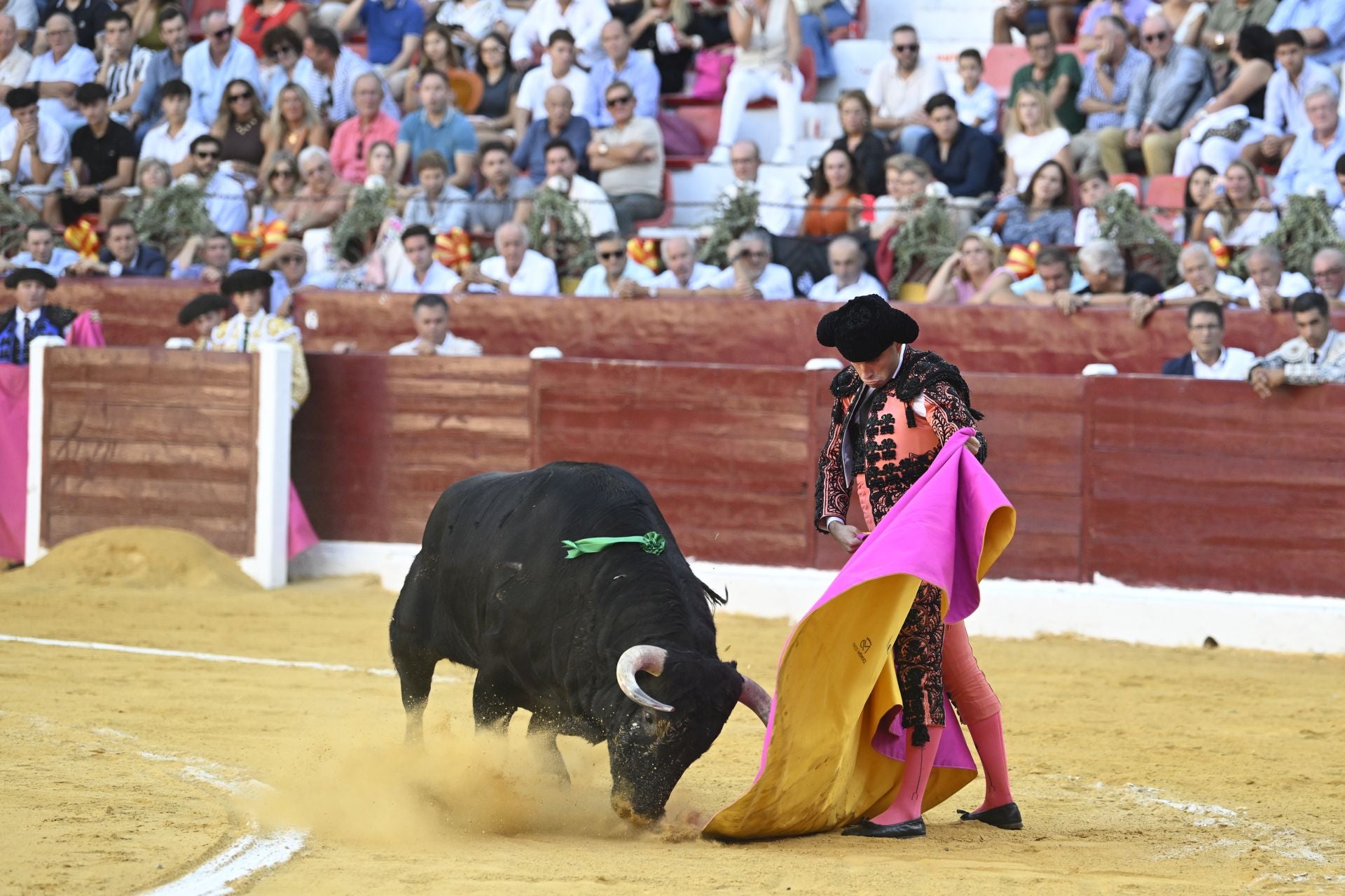 La primera novillada de la Feria Taurina de Murcia, en imágenes