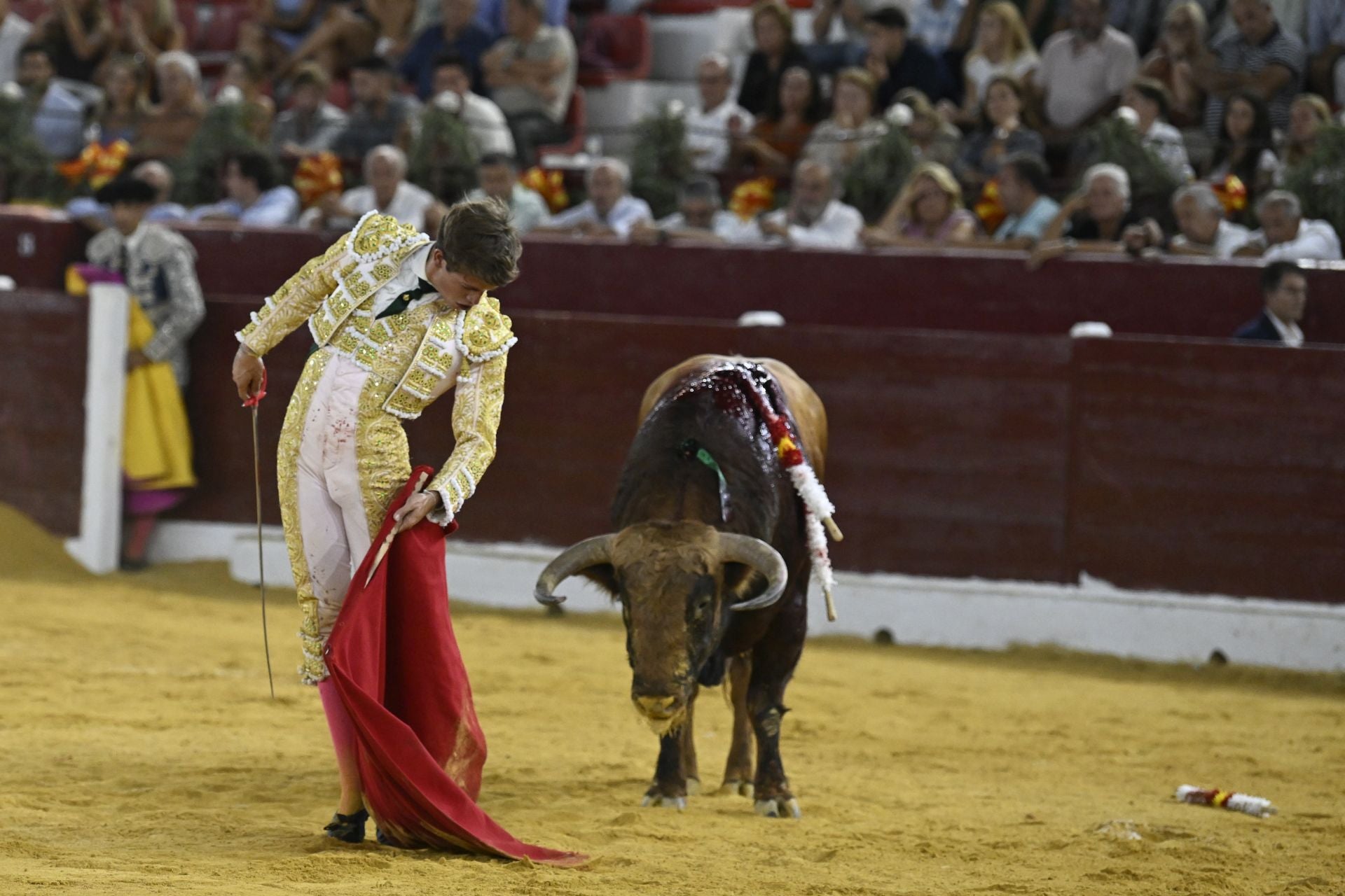 La primera novillada de la Feria Taurina de Murcia, en imágenes
