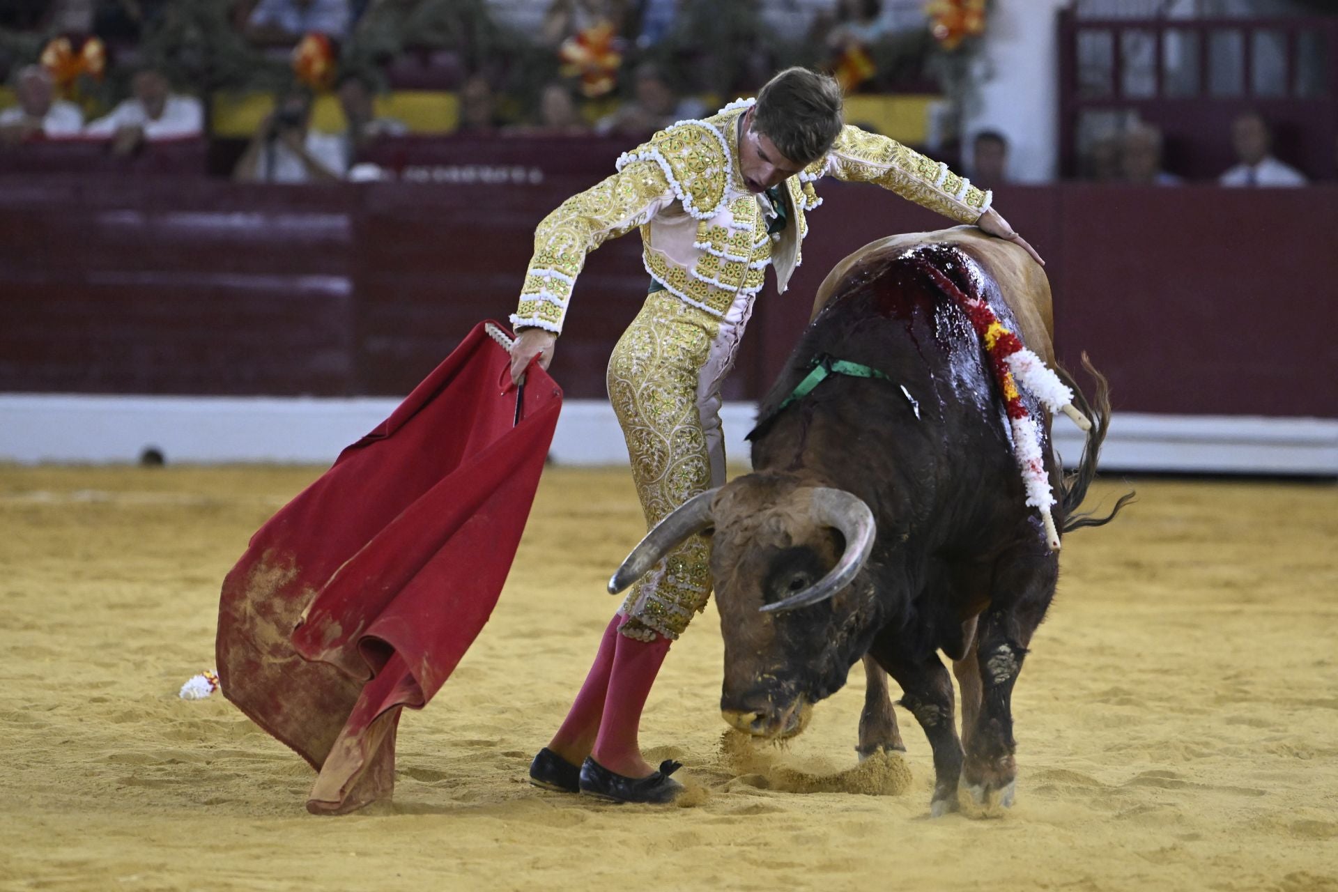 La primera novillada de la Feria Taurina de Murcia, en imágenes