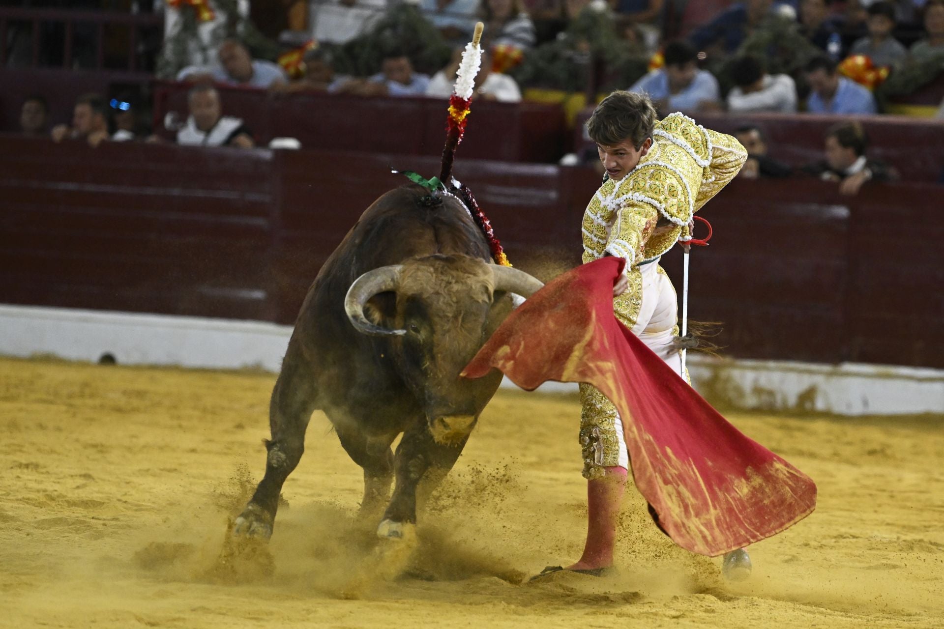 La primera novillada de la Feria Taurina de Murcia, en imágenes