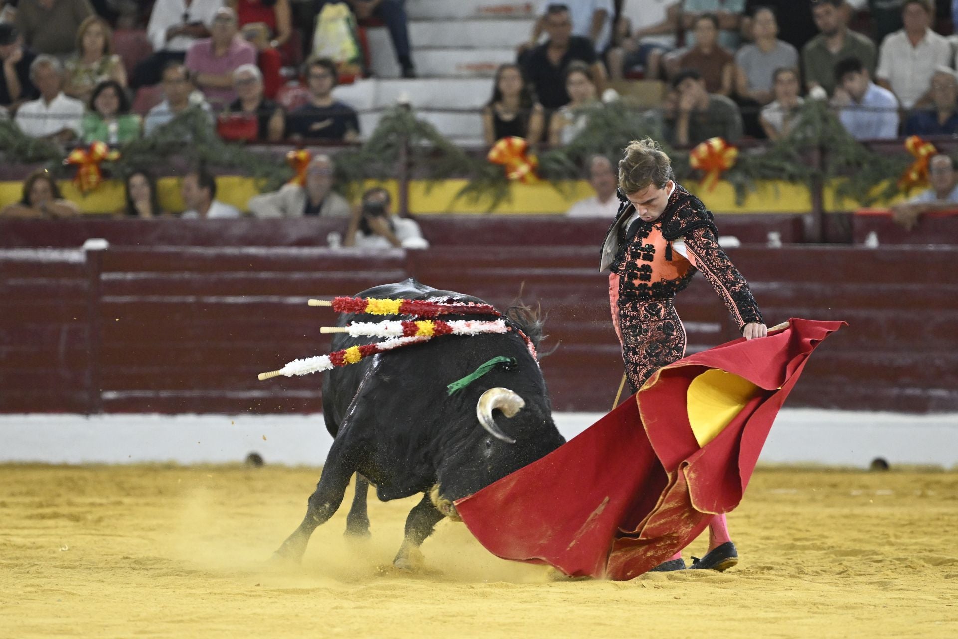 La primera novillada de la Feria Taurina de Murcia, en imágenes