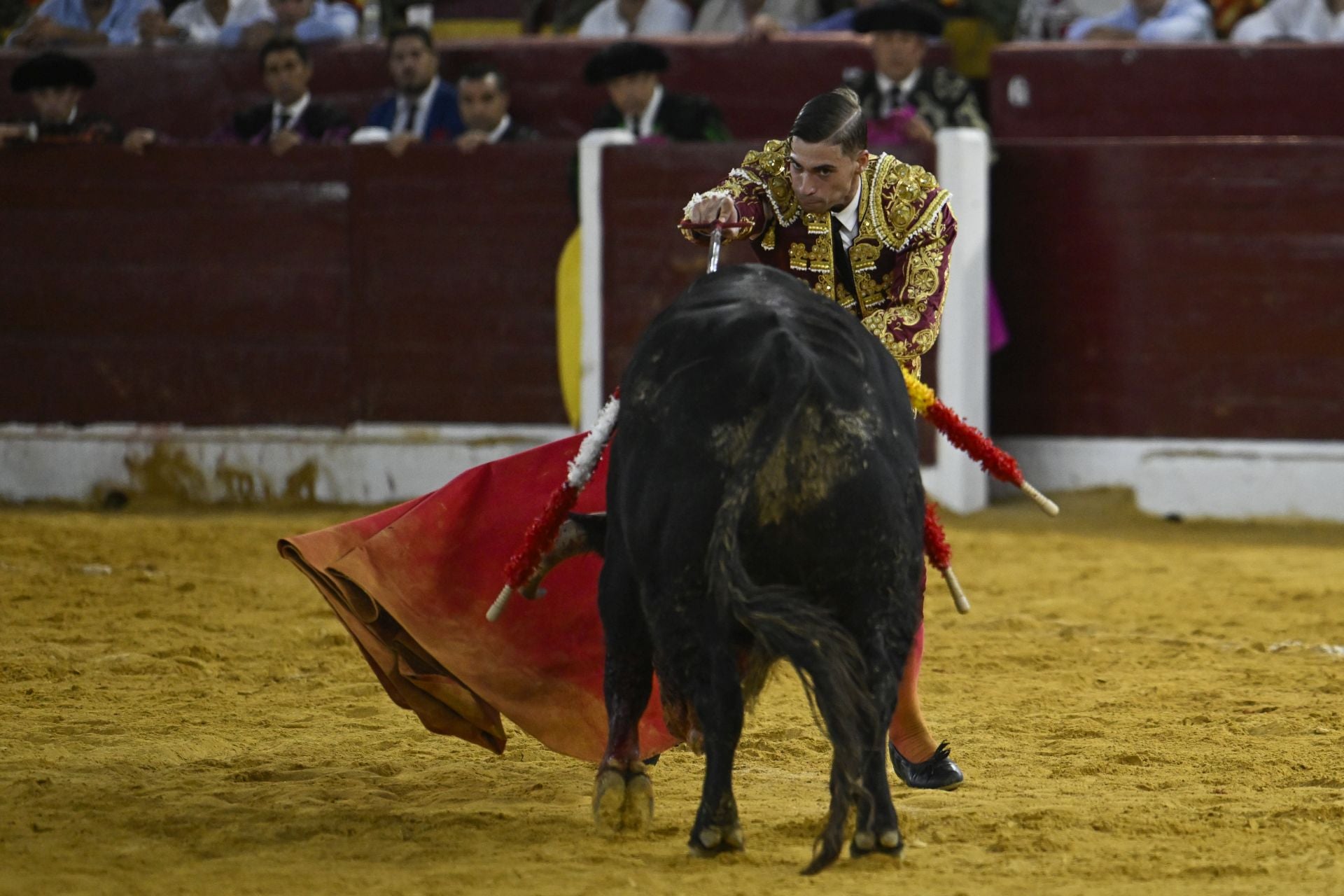 La primera novillada de la Feria Taurina de Murcia, en imágenes