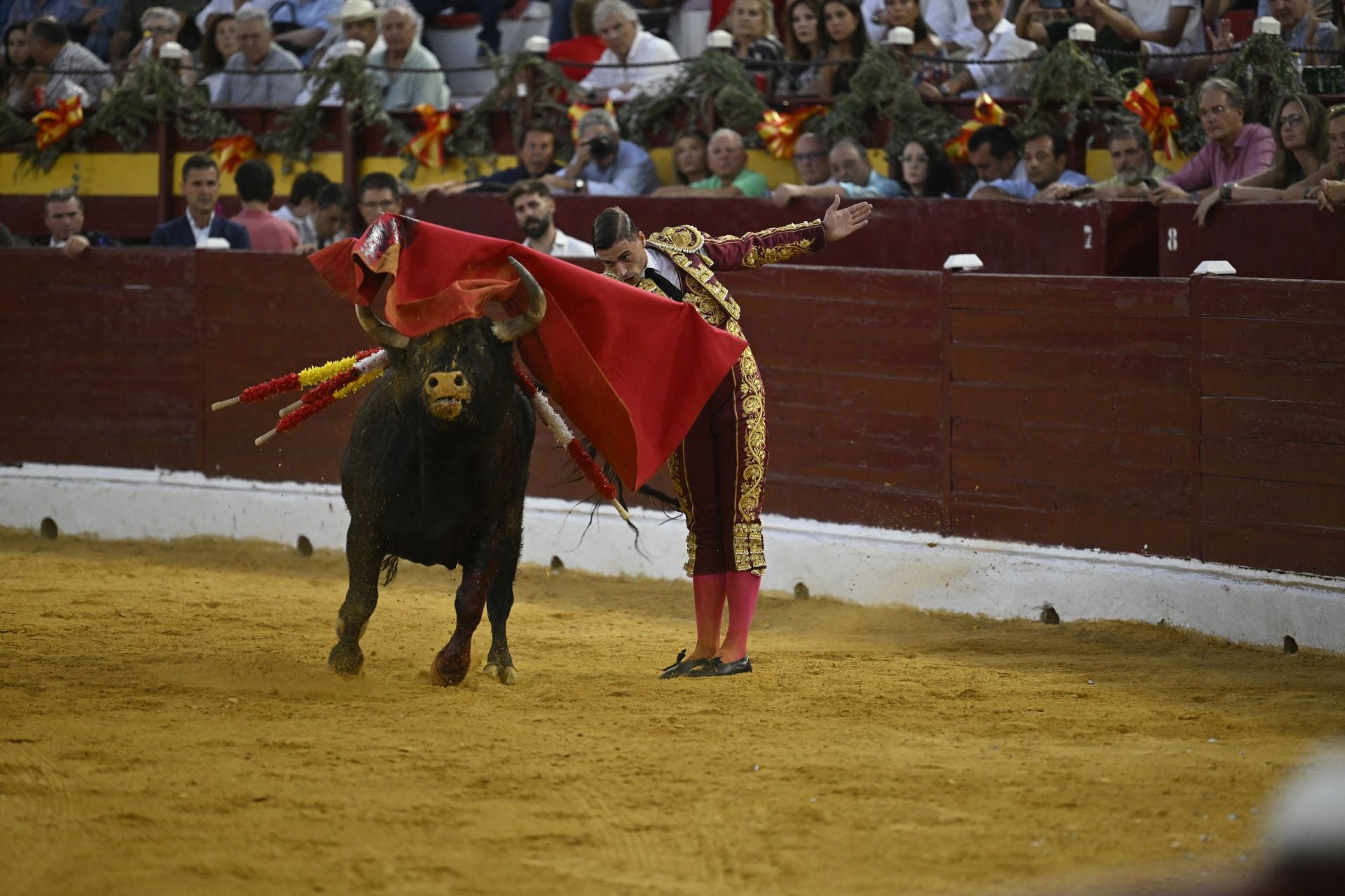 La primera novillada de la Feria Taurina de Murcia, en imágenes