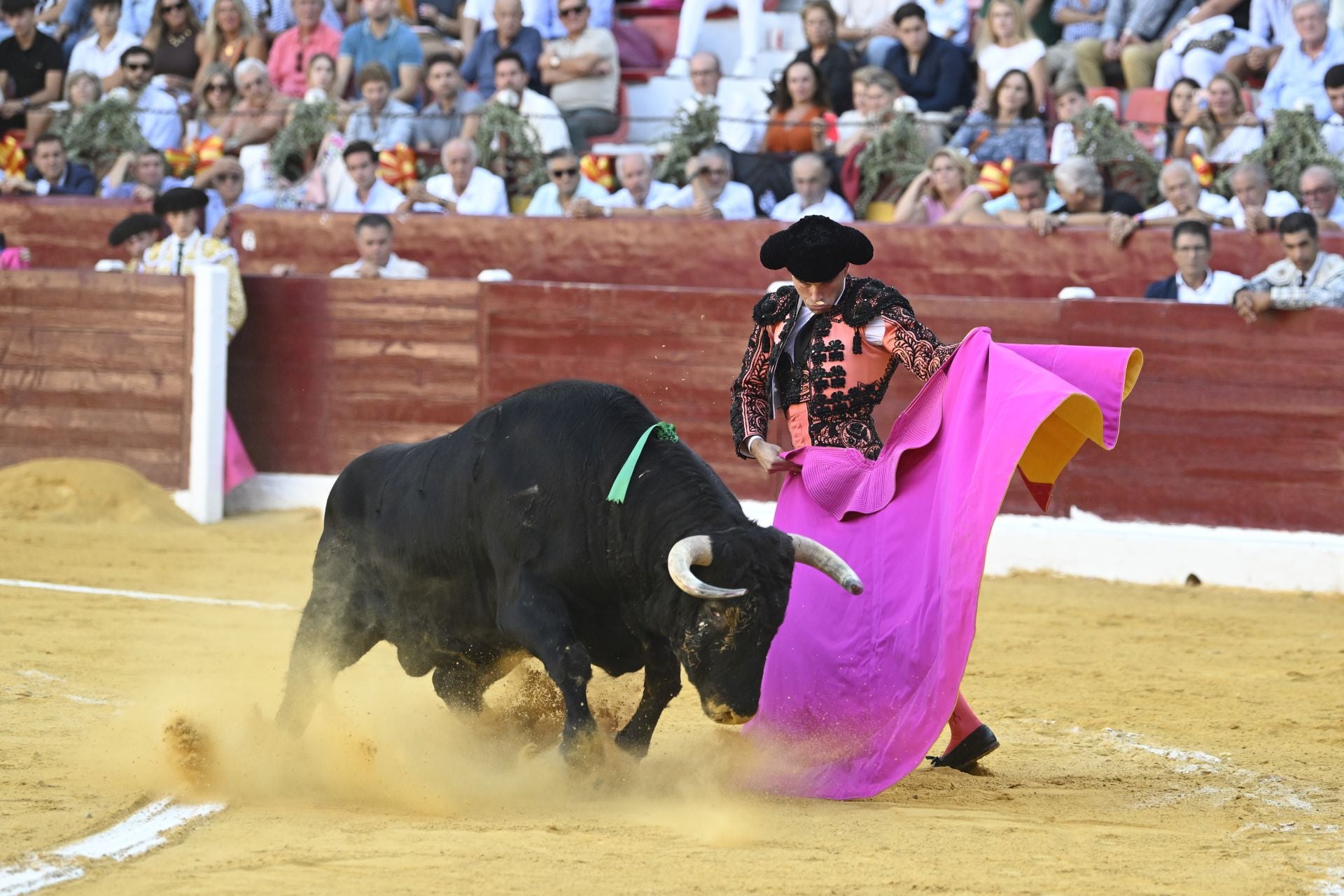 La primera novillada de la Feria Taurina de Murcia, en imágenes