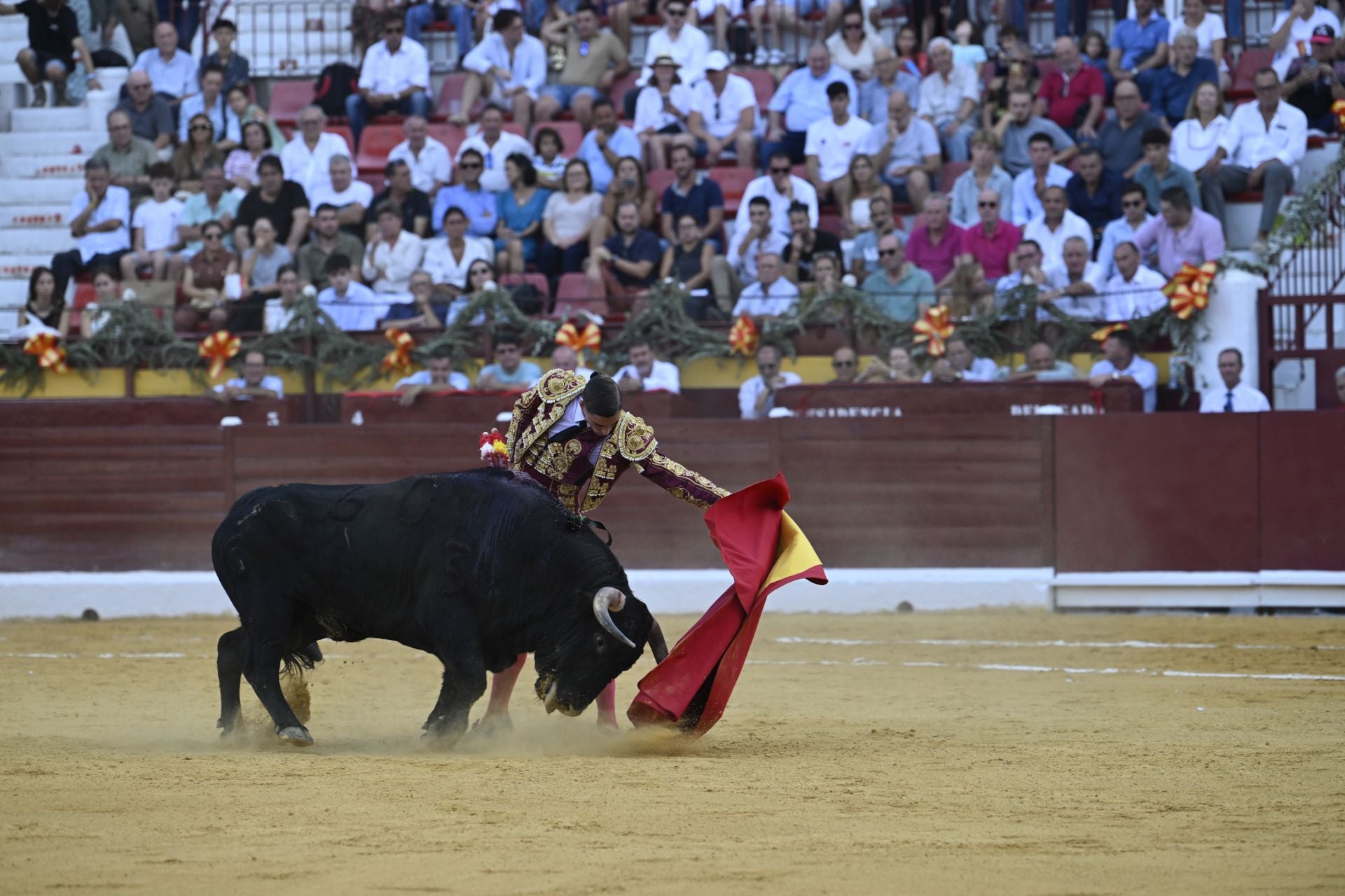 La primera novillada de la Feria Taurina de Murcia, en imágenes