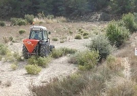 Imagen de archivo de una finca municipal de La Tercia, en Gea y Truyols.