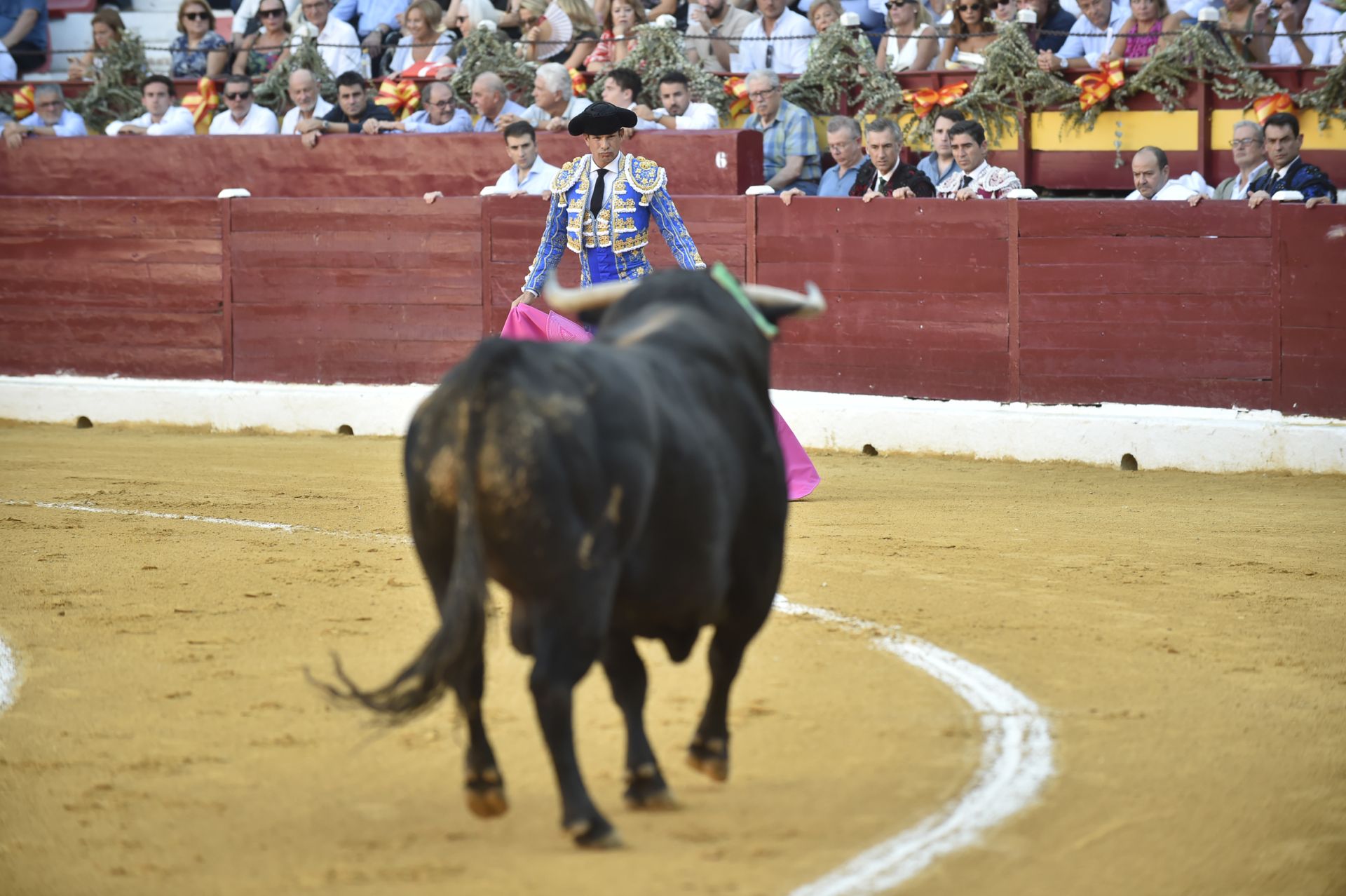 La primera corrida de la Feria Taurina de Murcia, en imágenes