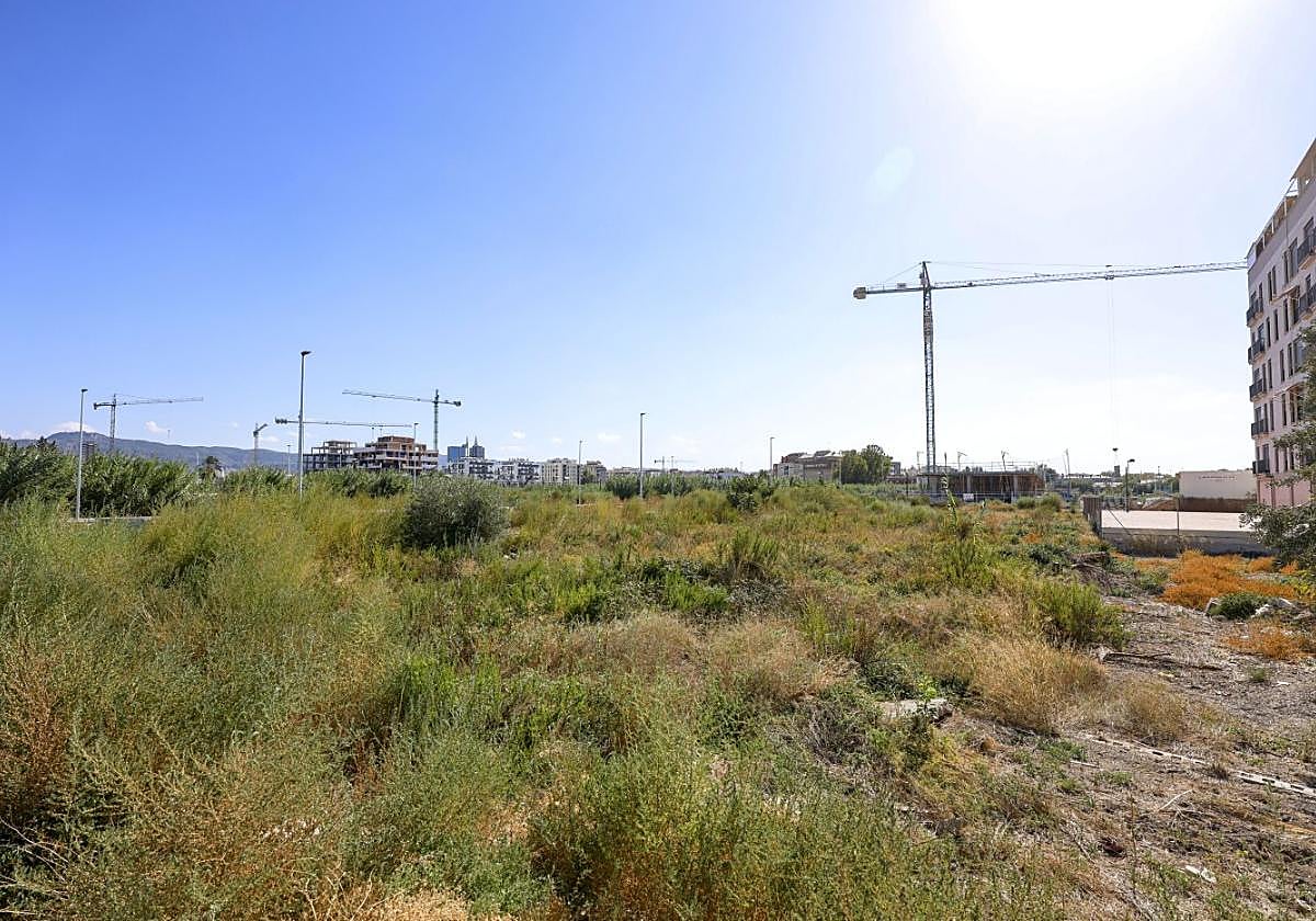 Terrenos en la zona norte del municipio de Murcia, entre Zarandona y Santiago y Zaraíche, que estarán en el inventario de vivienda asequible que prepara la Comunidad.