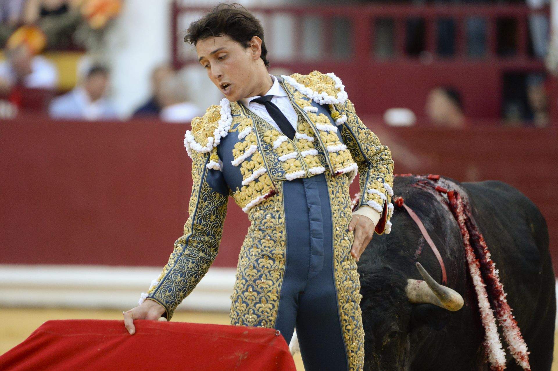 Las imágenes de la corrida de la Romería de la Feria Taurina de Murcia