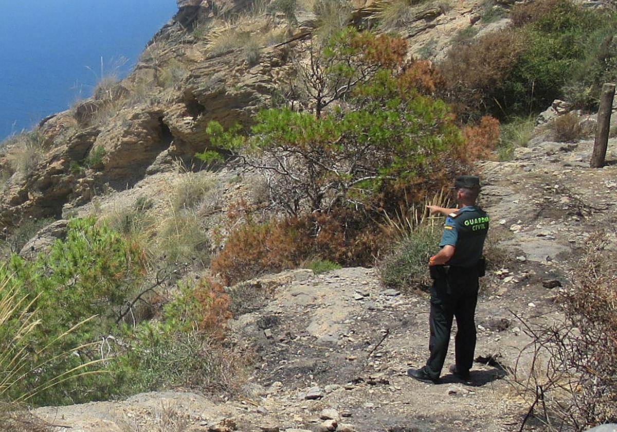 Un agente señala a parte de la vegetación afectada durante el incendio forestal.