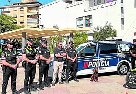 El modelo elegido ha sido un Caddy Maxi Origin 2.0 TDI.