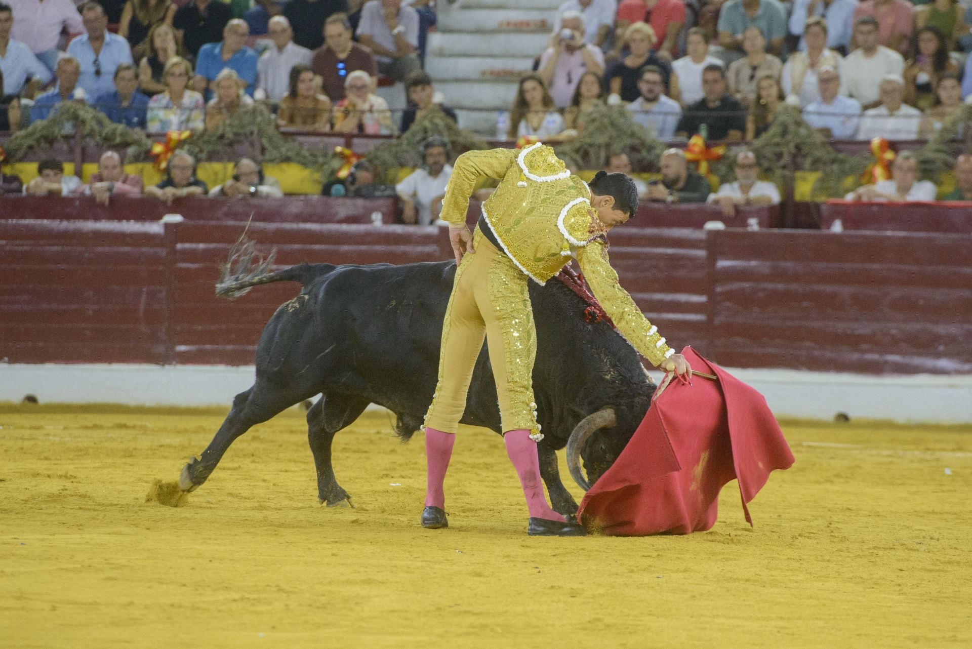 La tarde triunfal de Ureña en Murcia, en imágenes