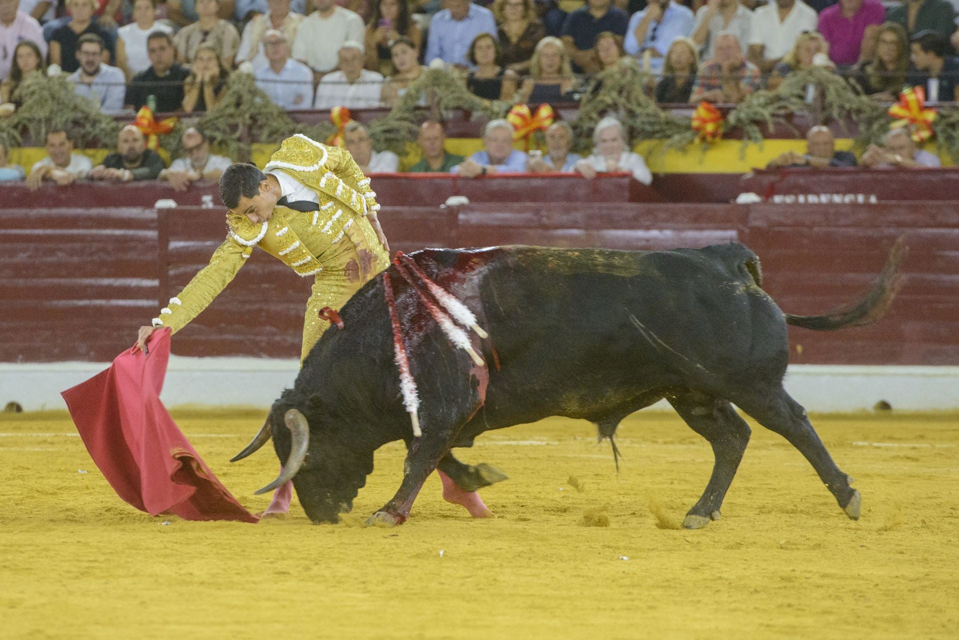 La tarde triunfal de Ureña en Murcia, en imágenes
