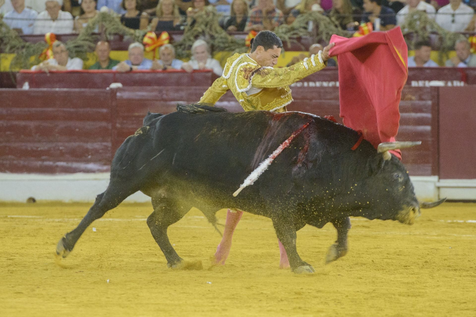 La tarde triunfal de Ureña en Murcia, en imágenes
