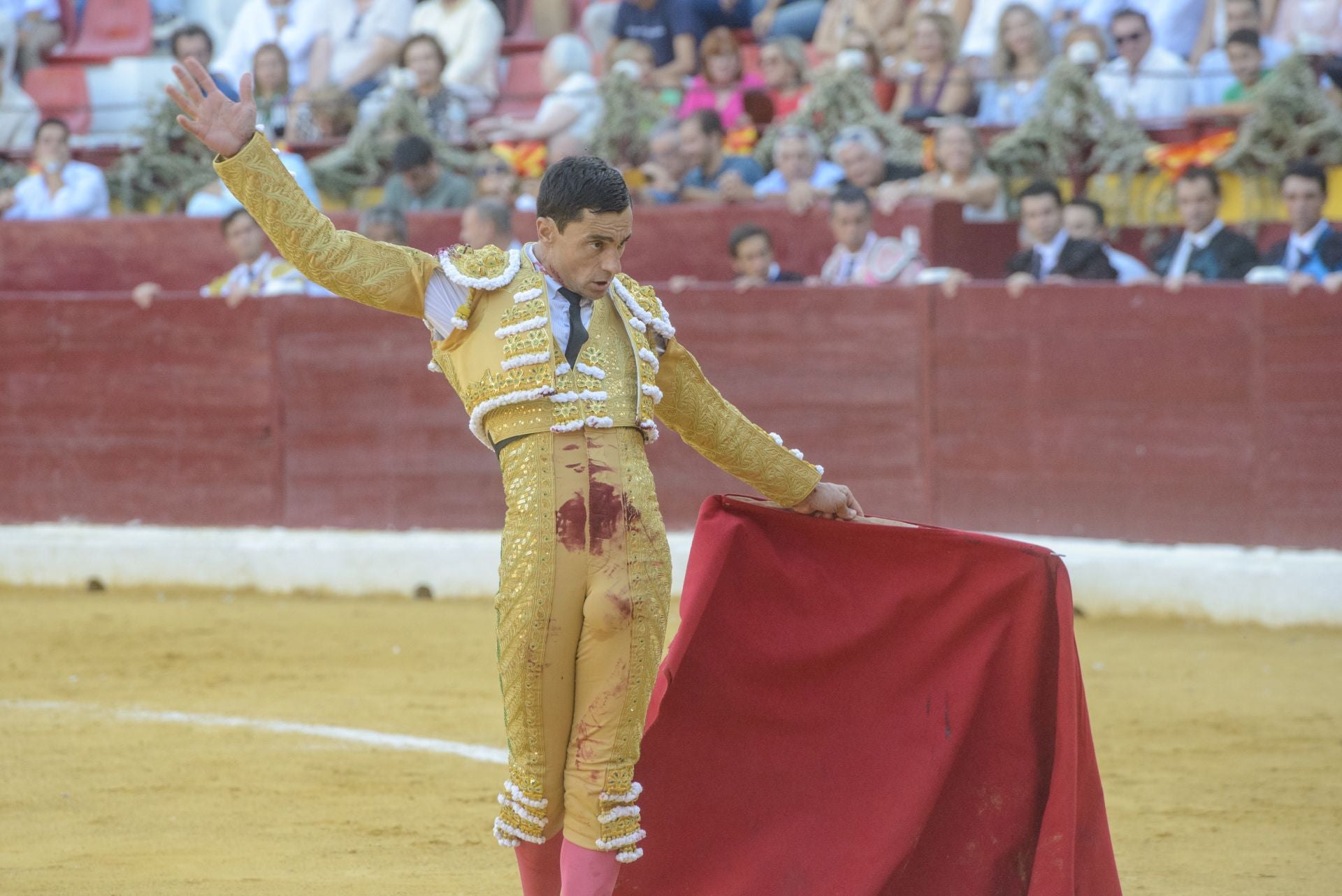 La tarde triunfal de Ureña en Murcia, en imágenes
