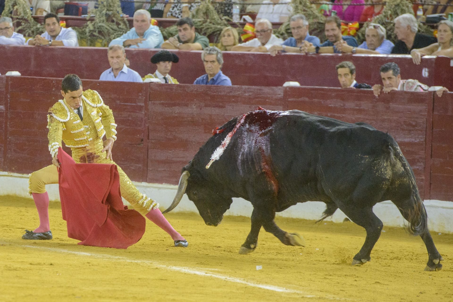 La tarde triunfal de Ureña en Murcia, en imágenes