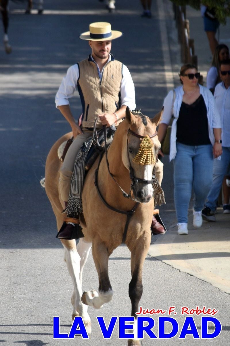 Imágenes de la Romería del Bando de los Caballos del Vino en Caravaca - Galería 2