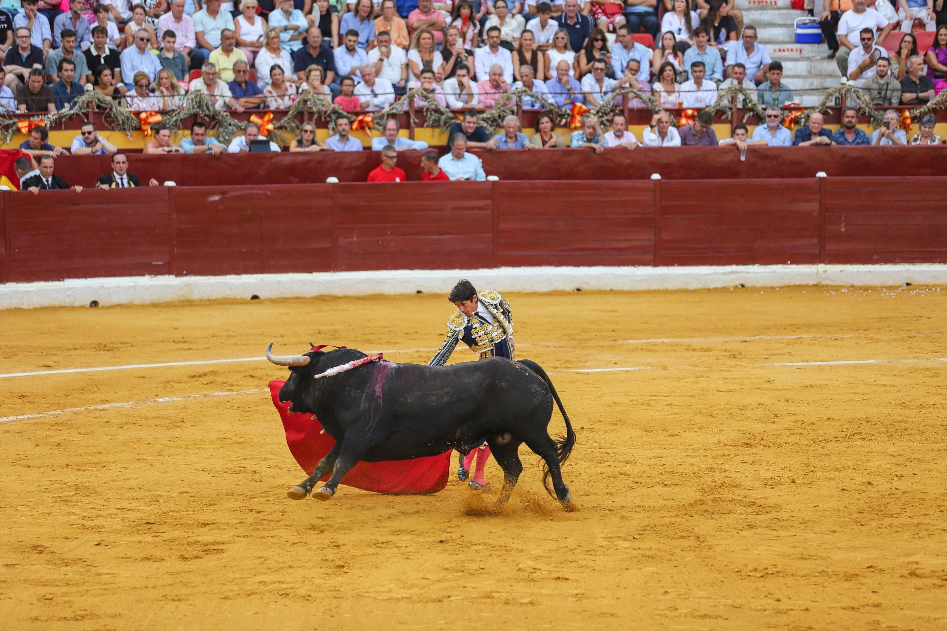 La Corrida de la Prensa de Murcia, en imágenes